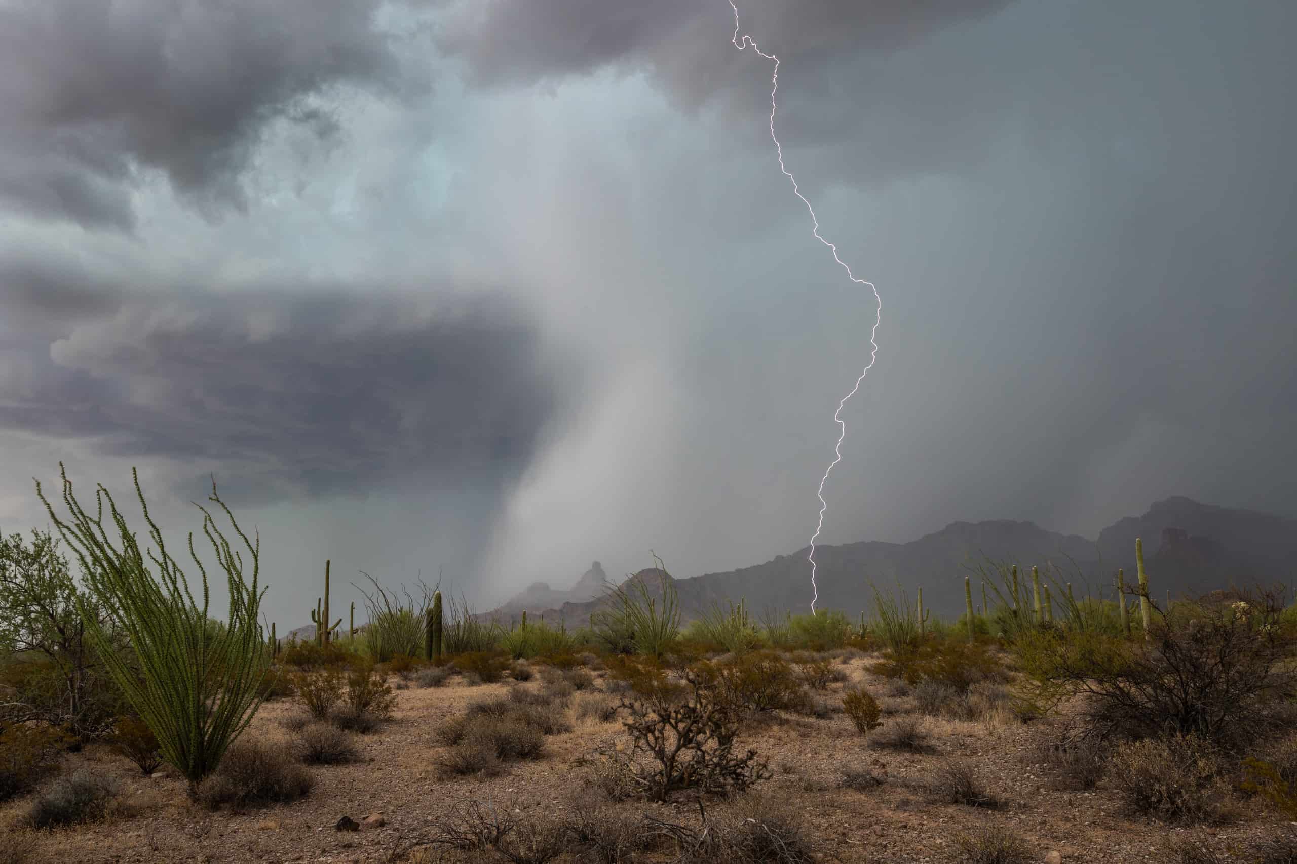 Lightning striking the Sonoran Desert