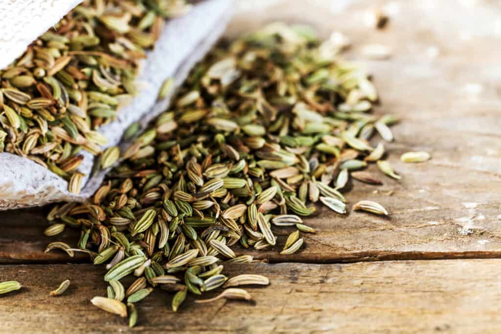 Fennel seeds