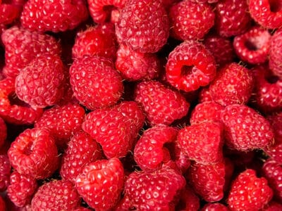 A How to Grow Raspberries: Your Complete Guide