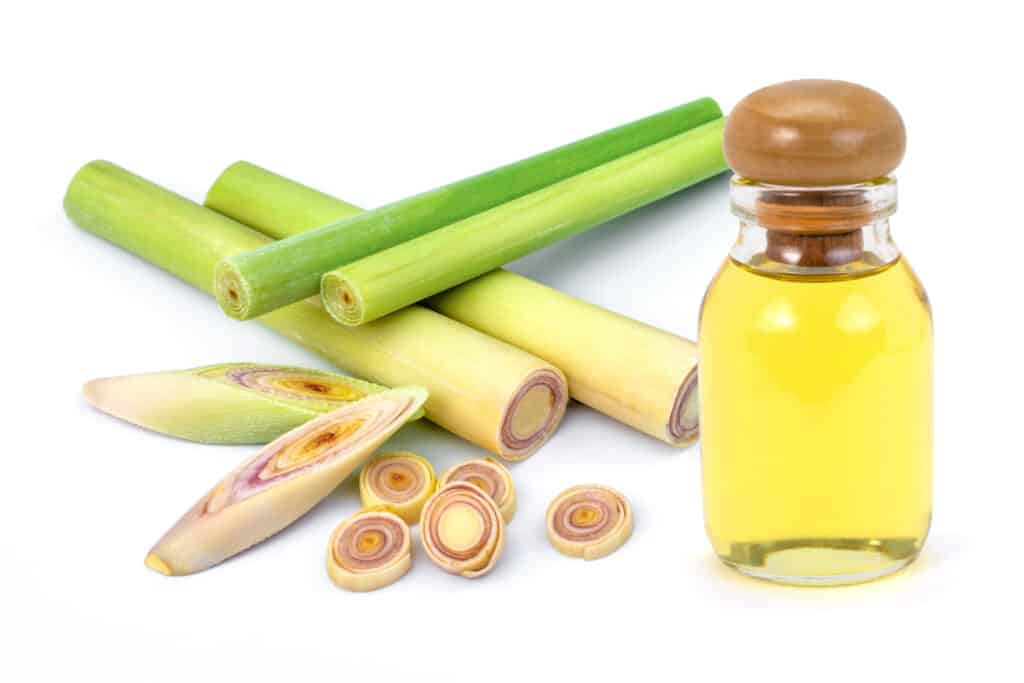 is lemongrass poisonous to dogs