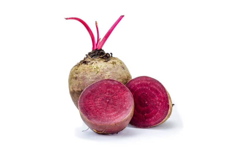 Turnip vs. Beet What Are The Differences? AZ Animals