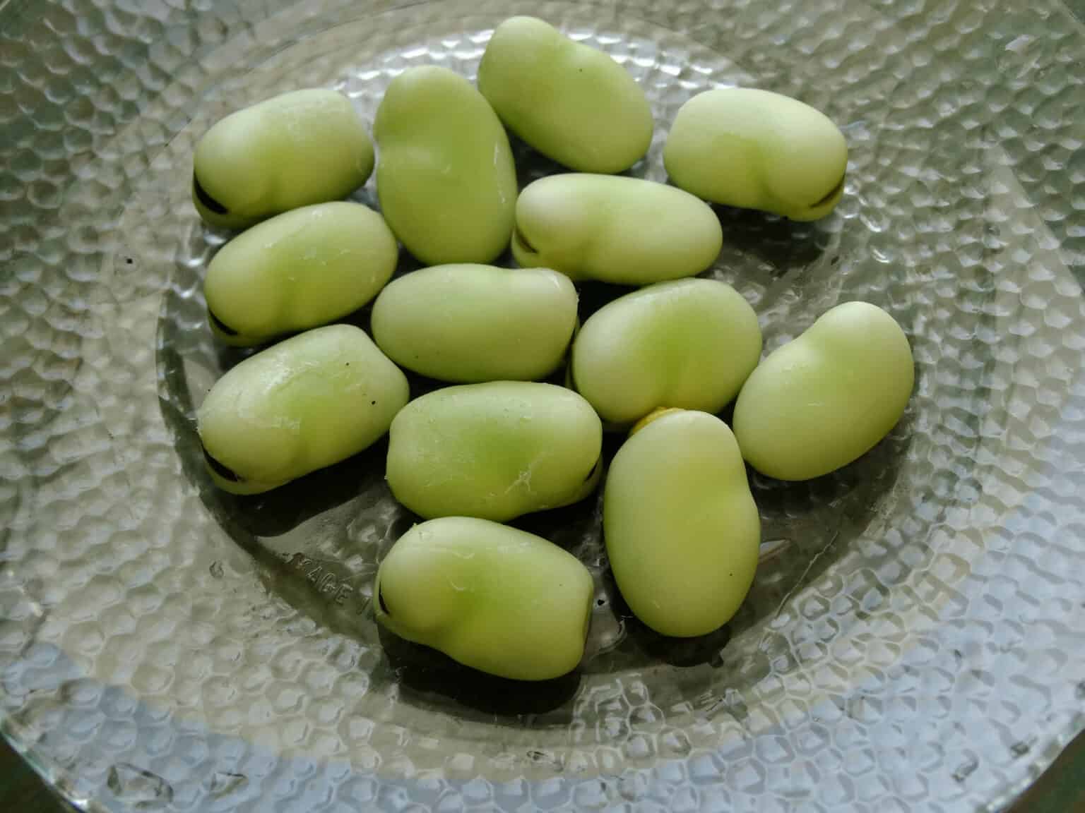 Butter Beans vs. Lima Beans What's The Difference? AZ Animals