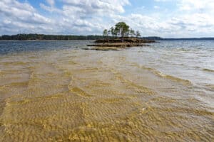 How Wide Is Texas’s Lake Sam Rayburn? Picture