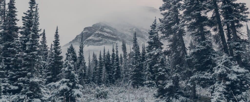 Snow in Montana