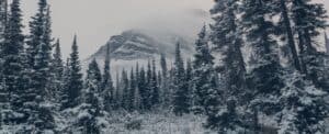 First Snow in Montana: The Earliest & Latest First Snows on Record Picture