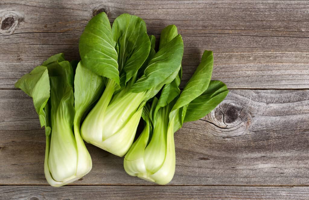 Bok choy a leafy non-heading cabbage safe for dogs to eat