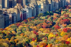 The 5 Best Spots for Leaf Peeping in New York: Peak Dates, Top Driving Routes, and More photo