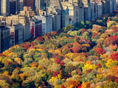 A The 5 Best Spots for Leaf Peeping in New York: Peak Dates, Top Driving Routes, and More
