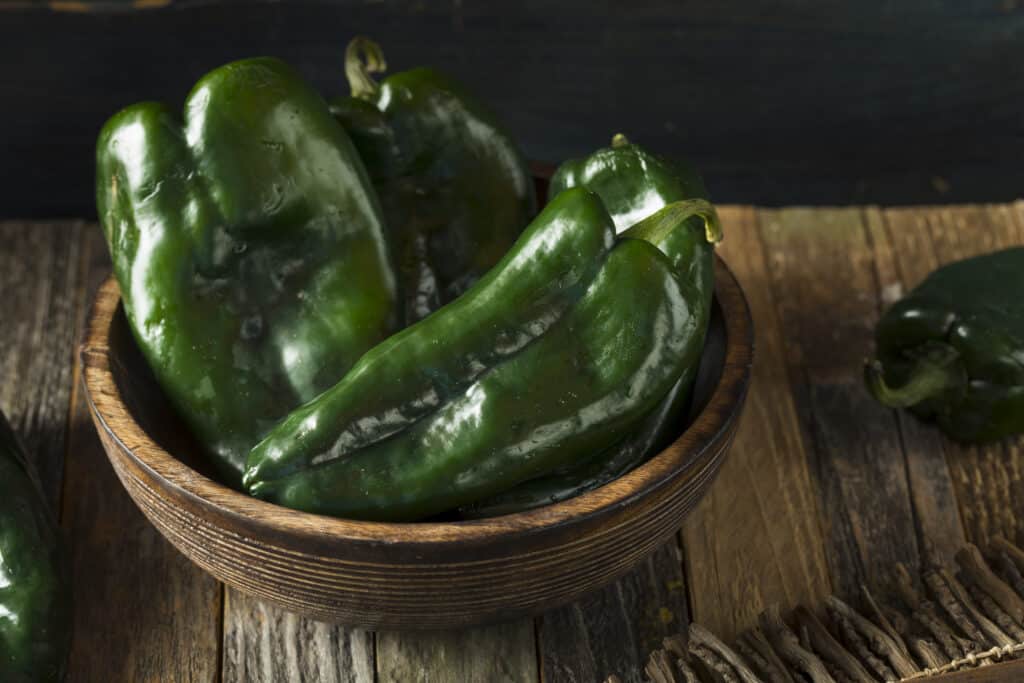 Raw Green Organic Poblano Peppers in a Bowl Ready to Cook