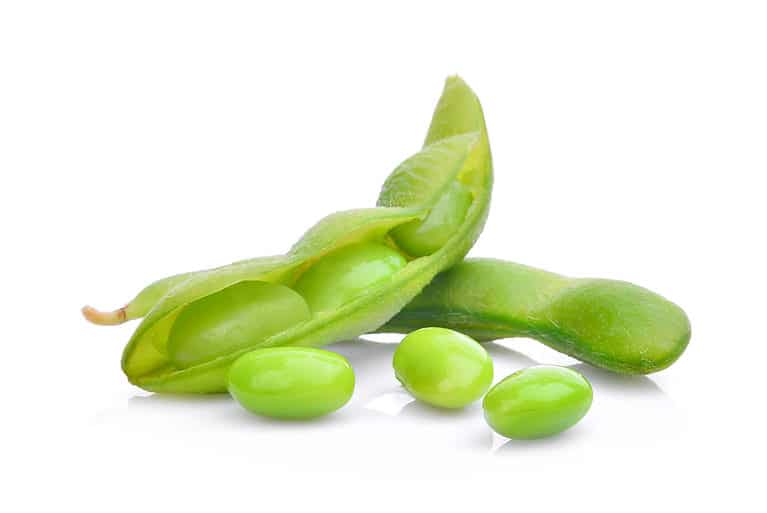 Edamame vs. Lima Beans: What's the Difference? - AZ Animals