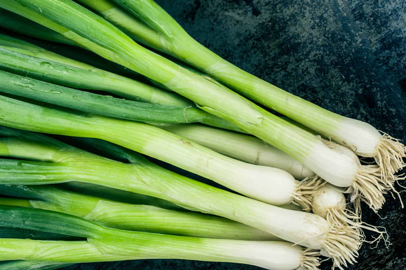 Leek vs. Scallion - A-Z Animals