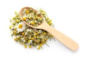 German Chamomile vs. Roman Chamomile: What Are The Differences? - A-Z ...
