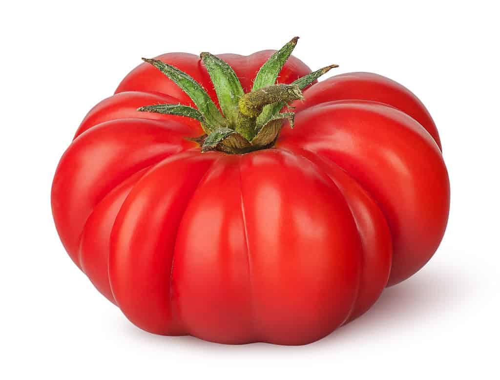 Single large tomato on a white background.