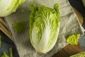 Napa Cabbage vs Bok Choy: What Are The Differences? Picture