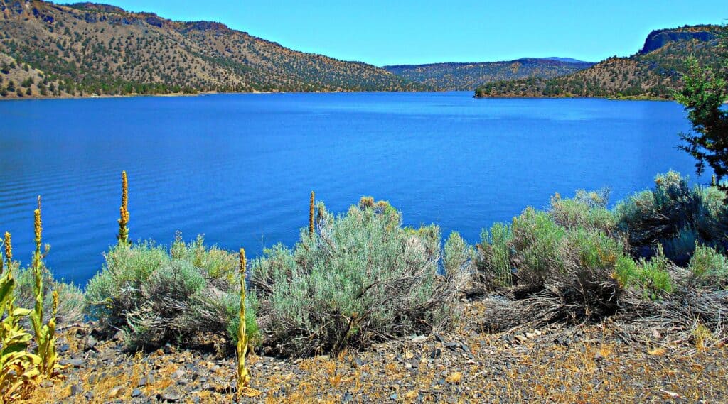 Prineville Reservoir