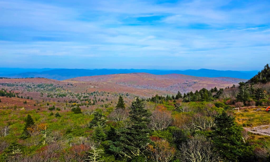 Mount Rogers Virginia 