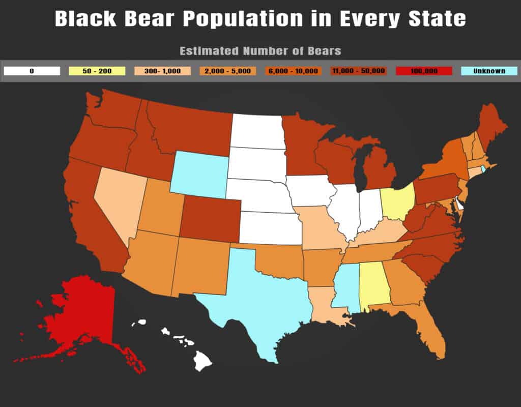 black bear population by state