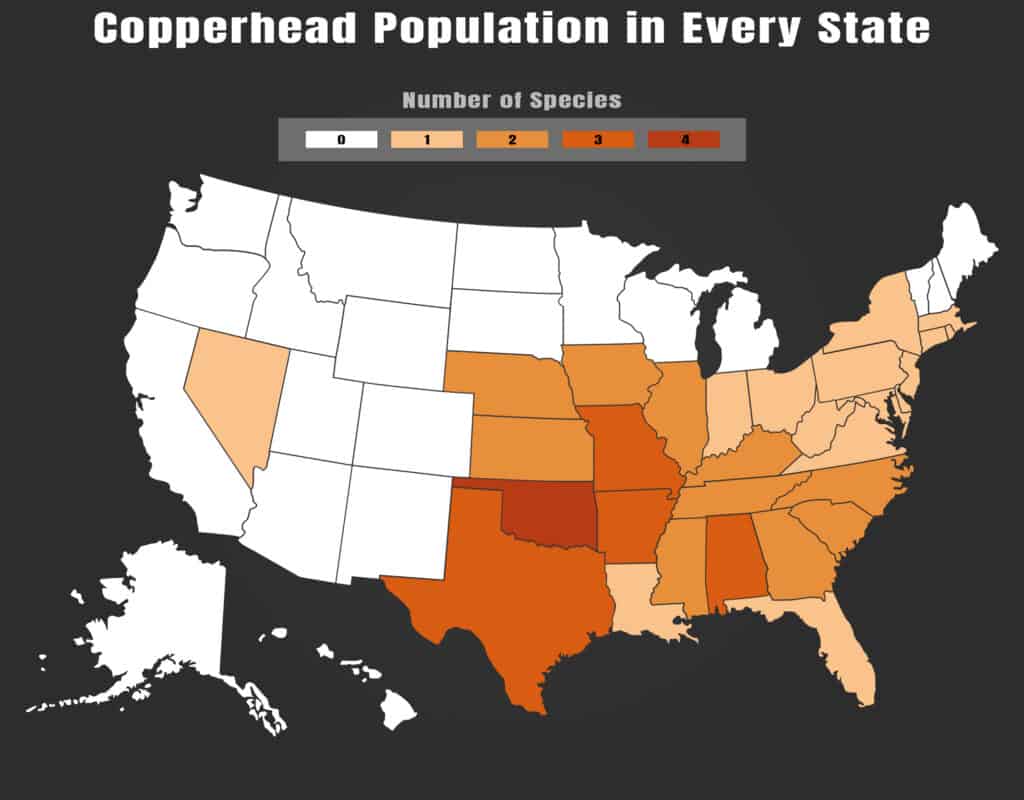 Distribution range of copperheads in the United States.