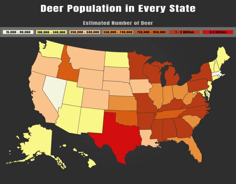 Deer Population by State: How Many Deer Are in the U.S.? - A-Z Animals