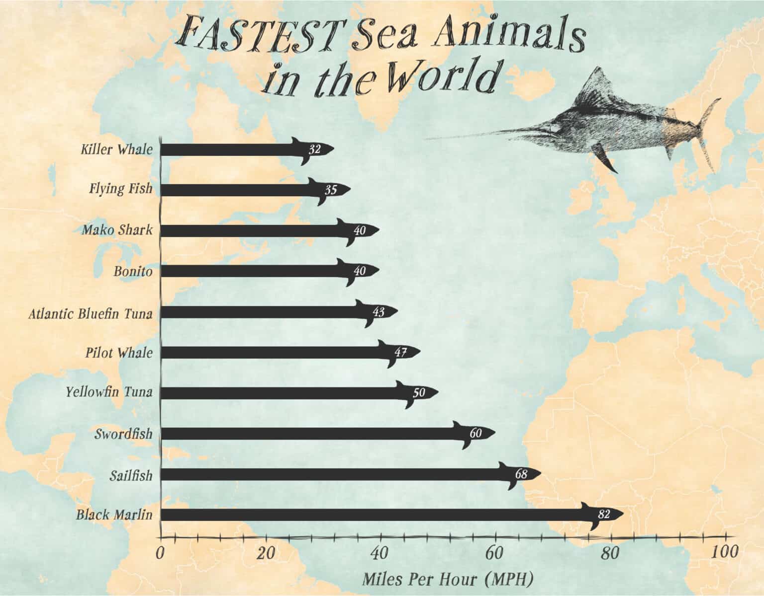 the-top-10-fastest-sea-animals-a-z-animals