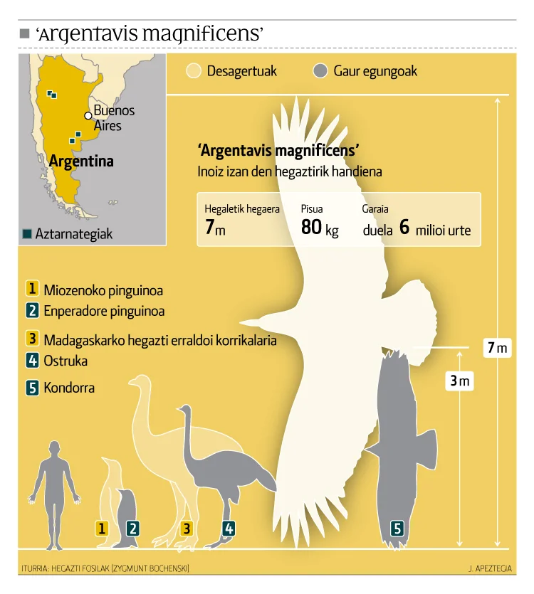 Argentavis Magnificens - A-Z Animals