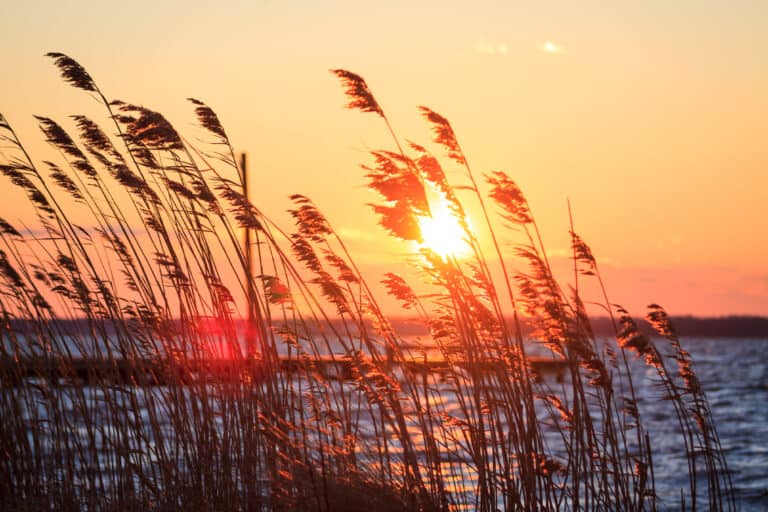 Barnegat Bay, NJ