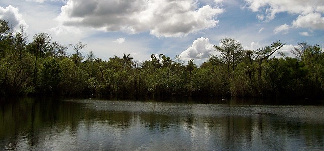 Deep Lake in Florida