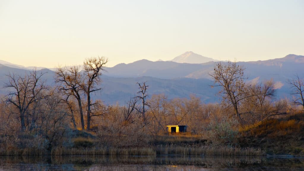 Colorado Duck Blind