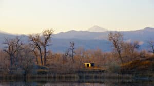 Duck Hunting Season in Colorado: Season Dates, Bag Limits and More Picture