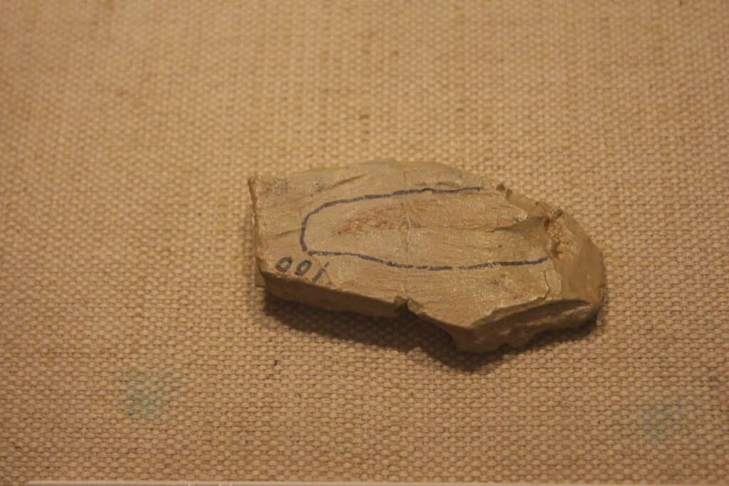 Haikouichthys Fossil on Display at Paleozoological Museum of China