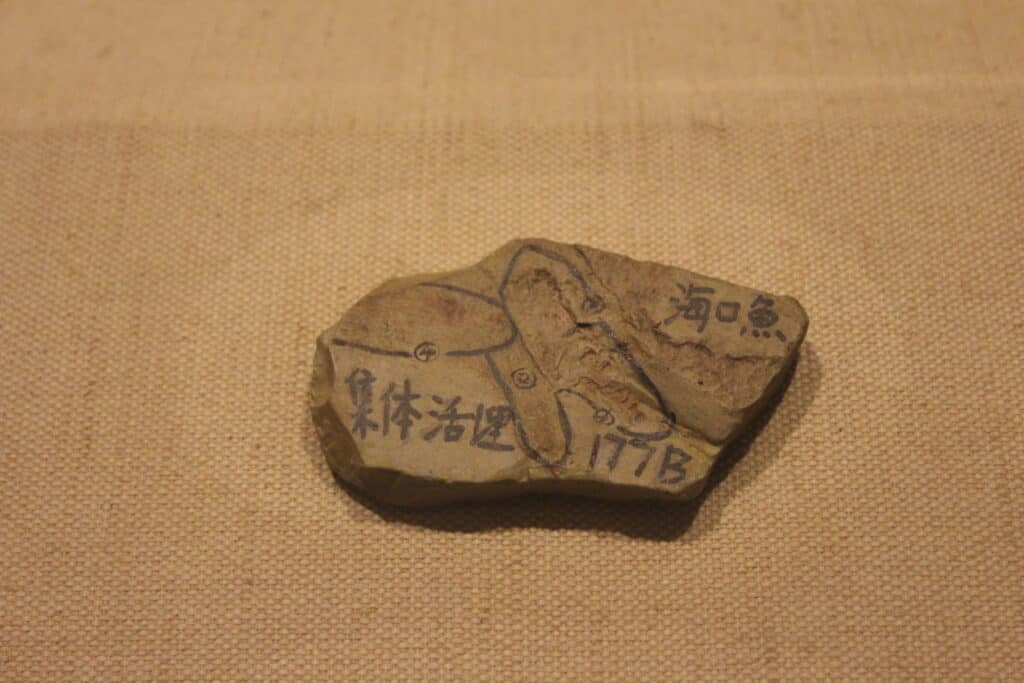 Another Haikouichthys Fossil on Display at Paleozoological Museum of China
