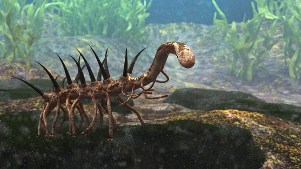 Hallucigenia