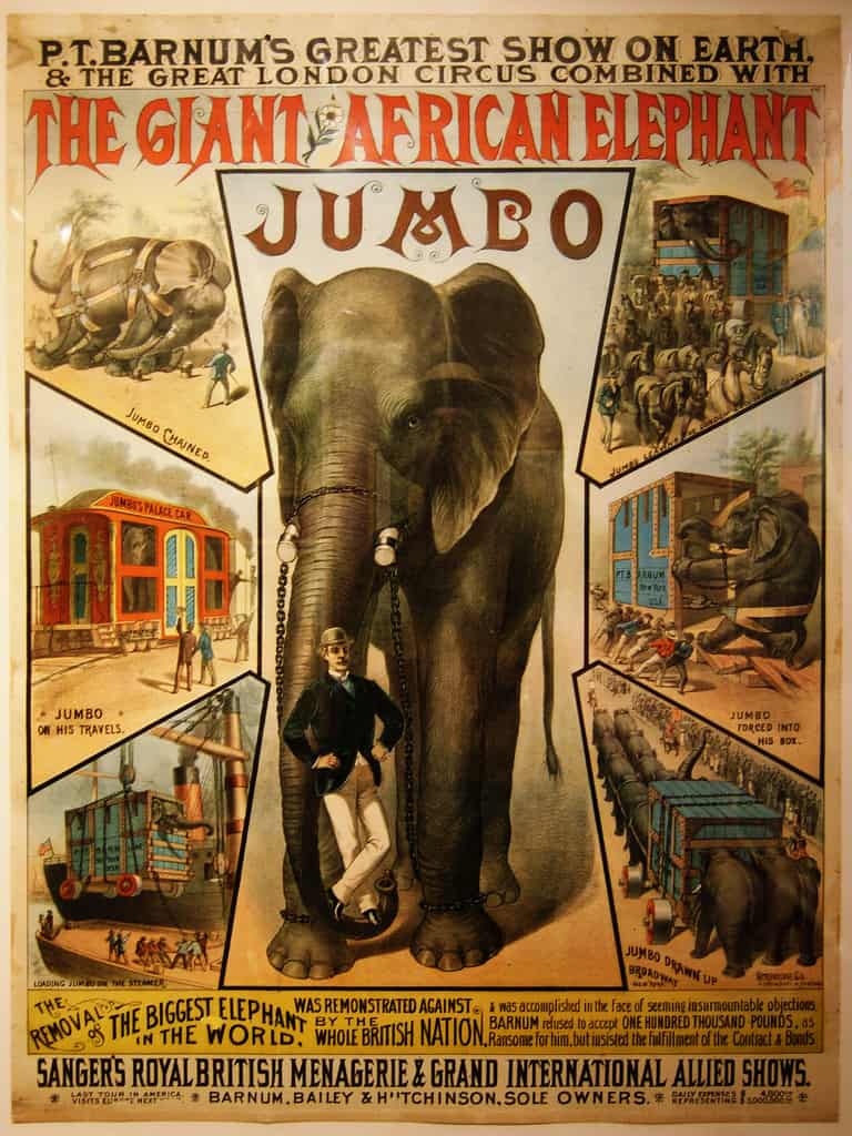 Jumbo The Elephant Poster