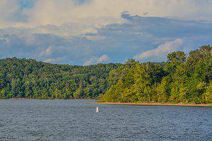 What’s the Largest Artificial Lake in Tennessee? Picture