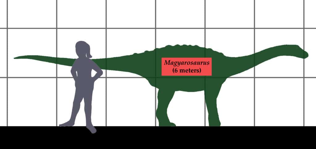 Magyarosaurus