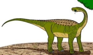 Meet the “Dwarf’ Dinosaur That Was Still Over 20 Feet Long Picture