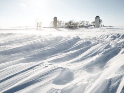 A Discover the Record-Breaking Snowstorm That Dumped on Minnesota in May… Yes, May!