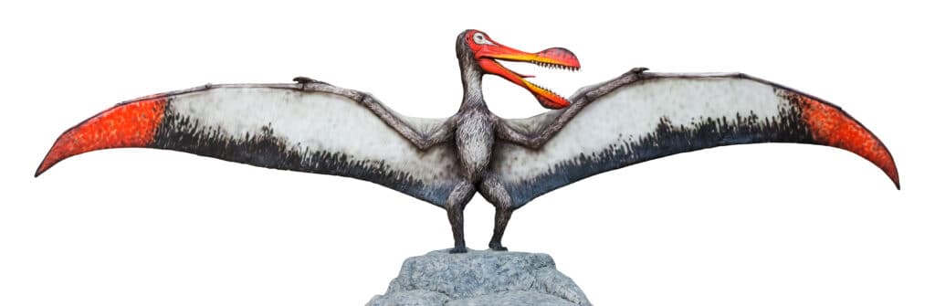 Ornithocheirus had a club shaped beak.
