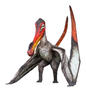 Meet the Flying Dinosaur With a Club-Shaped Beak and Razor Sharp Teeth Picture