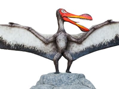 A Ornithocheirus