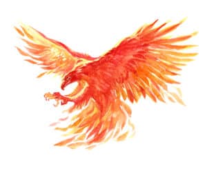 Phoenix Spirit Animal Symbolism & Meaning Picture