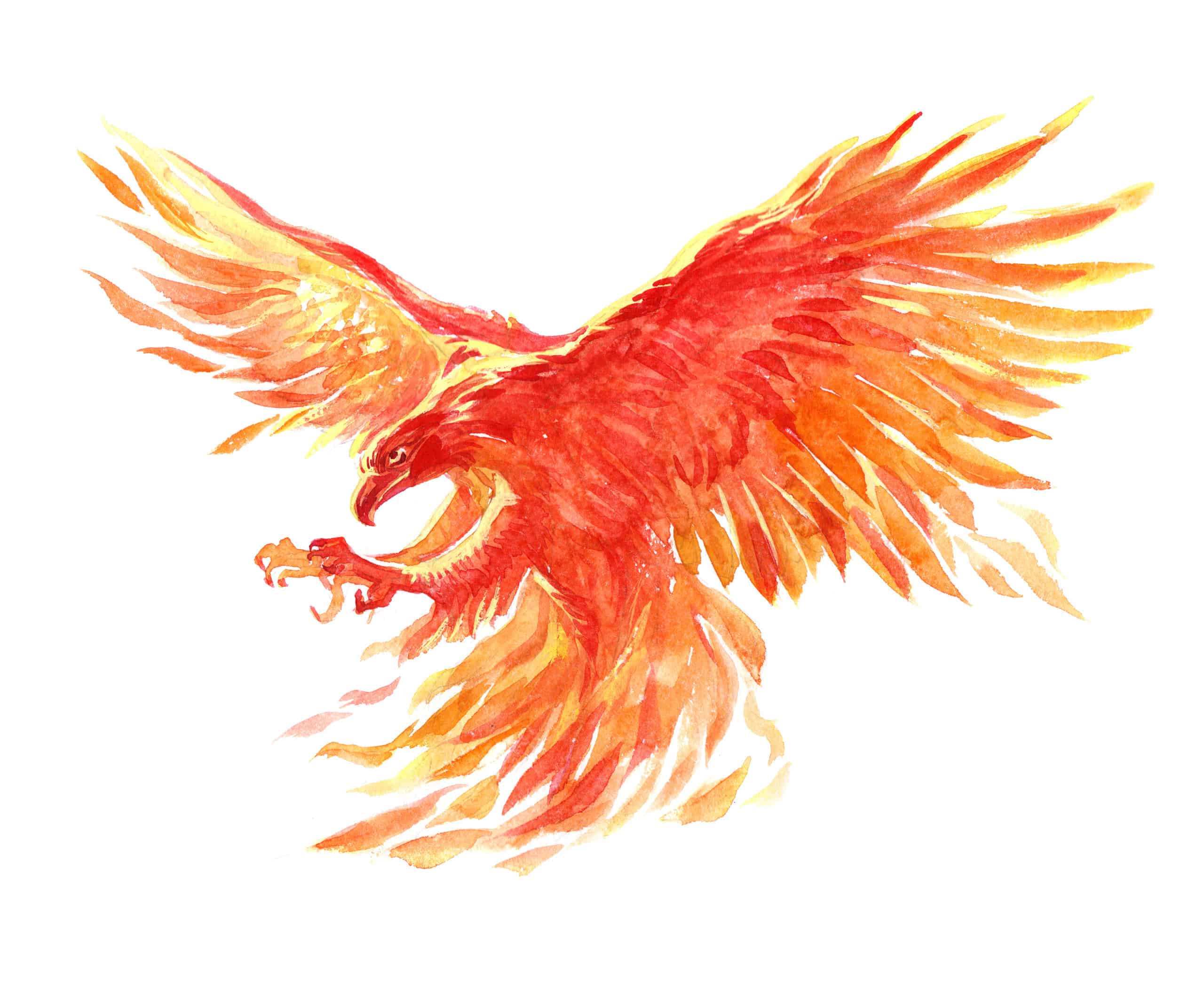 Phoenix Spirit Animal Symbolism & Meaning - Az Animals