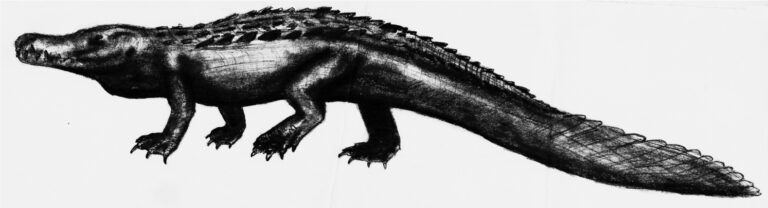Purrussaurus
