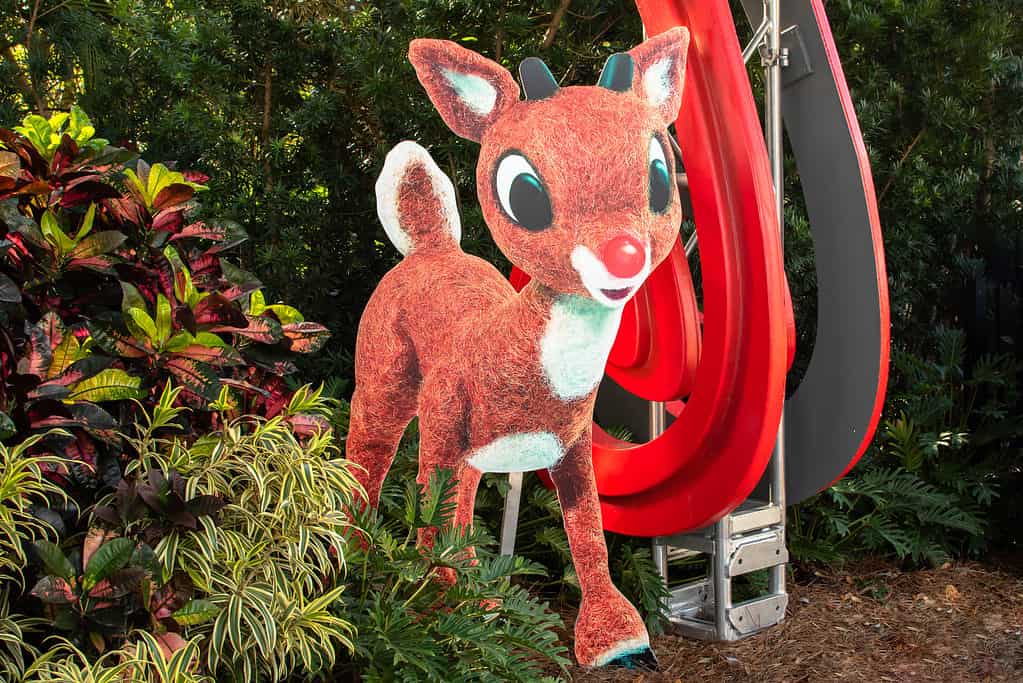 Rudolph the Red-Nosed Reindeer Cutout at SeaWorld