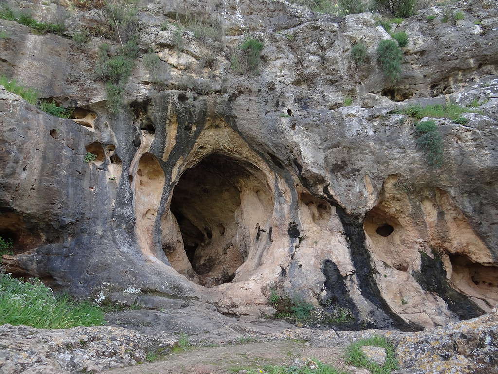 Mt. Carmel Nature Reserve, and Skhul Cave, is an archaeological-prehistoric site from the Mousterian culture of the Middle Paleolithic period in western Carmel. It features a small cave and a natural terrace at its entrance. Located south of the city of Haifa, Israel.