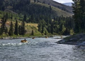 The Most Snake-Infested Rivers in Yellowstone Picture