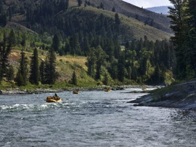 A The Most Snake-Infested Rivers in Yellowstone