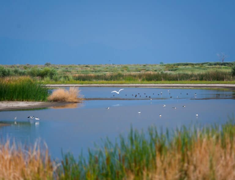 Stillwater National Wildlife Refuge