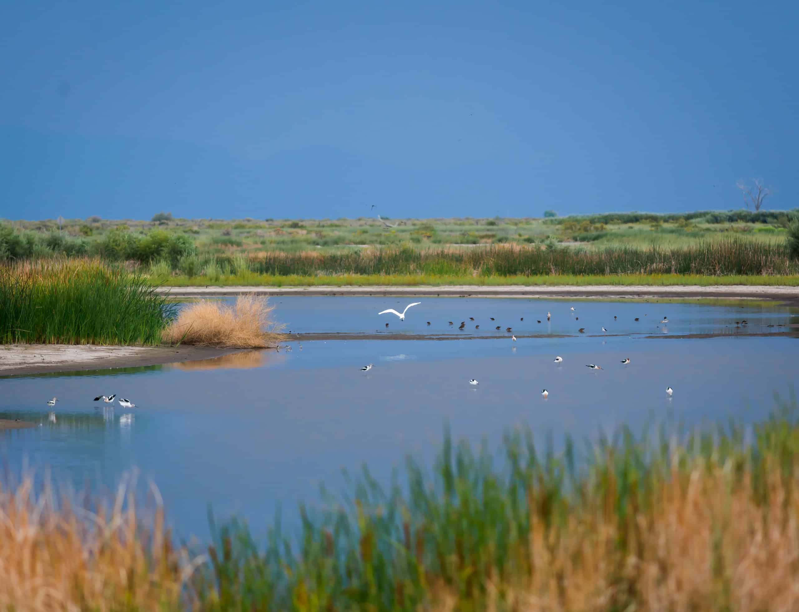 Stillwater National Wildlife Refuge