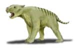Marsupial lion
